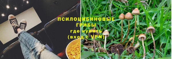 прущие крисы Бородино