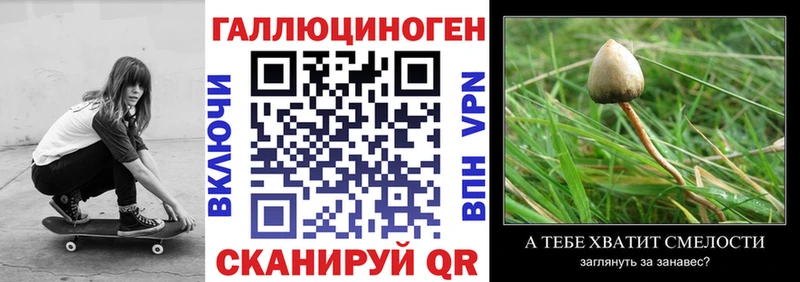 даркнет сайт  Ноябрьск  Псилоцибиновые грибы MAGIC MUSHROOMS 