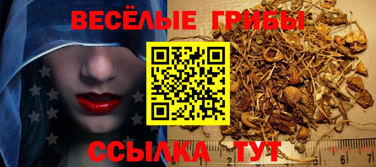 Галлюциногенные грибы Psilocybine cubensis  Вход с VPN  Ноябрьск  Псилоцибиновые грибы MAGIC MUSHROOMS 