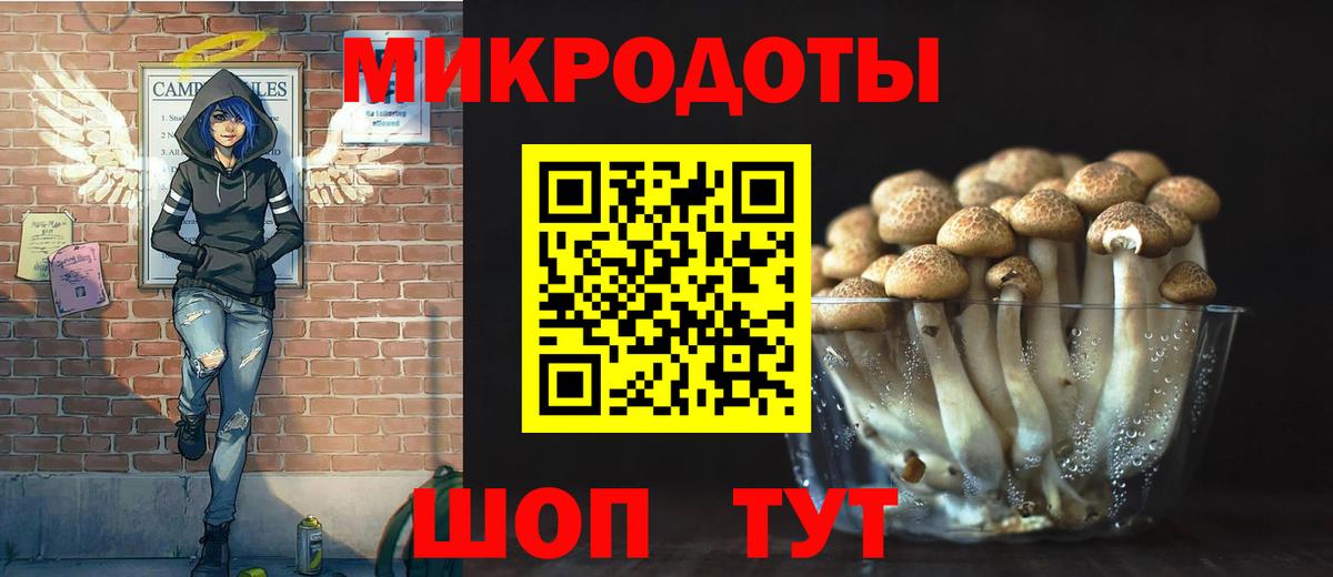 Псилоцибиновые грибы мухоморы Ноябрьск